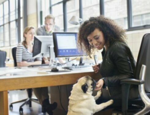 Для начальников: 5 причин, почему собаки прекрасны на рабочем месте