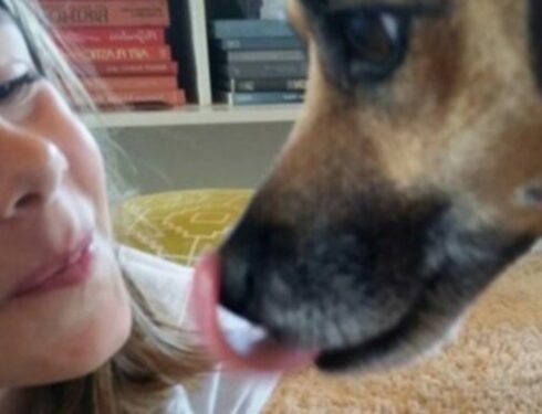 Собачьи поцелуи: целоваться, или не целоваться