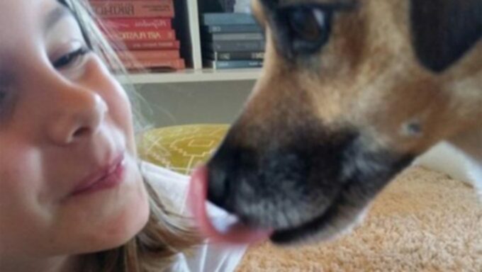 Собачьи поцелуи: целоваться, или не целоваться