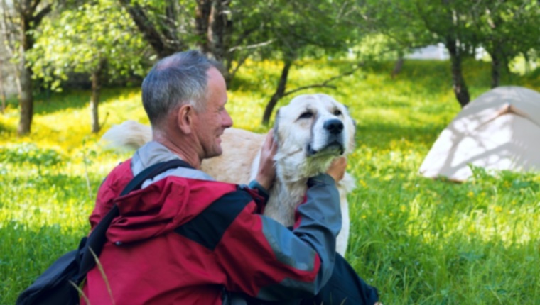 Лайфхаки для собак: 5 натуральных домашних средств от распространенных заболеваний у собак