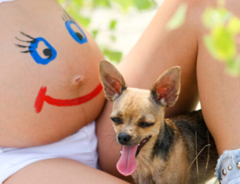 Doggy doulas: Подготовка собаки к рождению человека