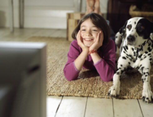 Собаки действительно смотрят телевизор и реагируют на него?