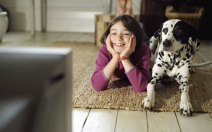 Собаки действительно смотрят телевизор и реагируют на него?