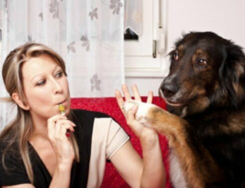 Электронные сигареты токсичны для домашних животных