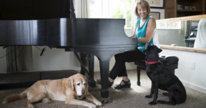 Музыкальная терапия для собак и кошек