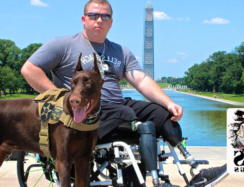 Собаки-поводыри помогают ветеранам в День ветеранов K-9