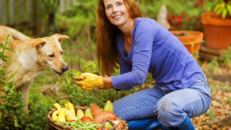 8 самых полезных фруктов и овощей, которыми можно поделиться с собакой