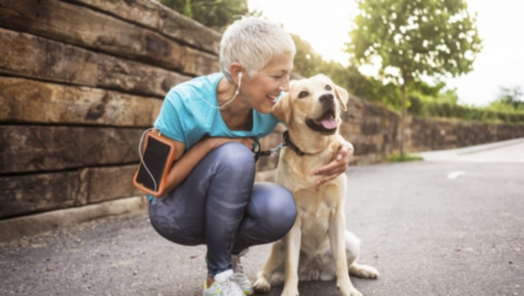 Октябрь - месяц благополучия домашних животных: 10 советов по оздоровлению собак