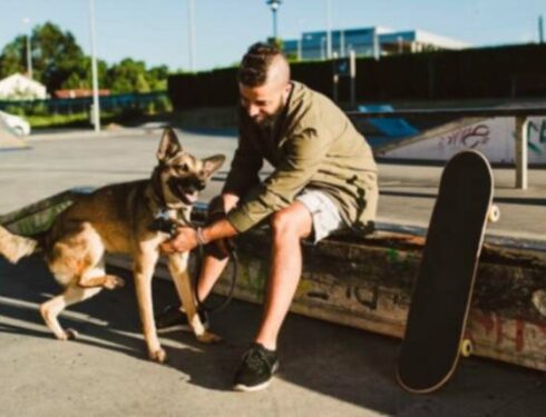 Tips för att träna din hund att förbli lugn i närheten av skateboards