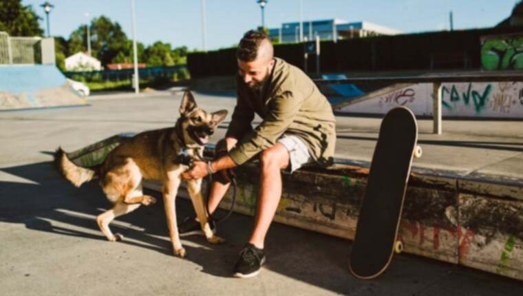 Tips om uw hond te leren kalm te blijven rond skateboards