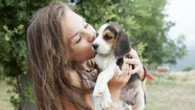 7 cose che i cuccioli non capiscono [VIDEO]