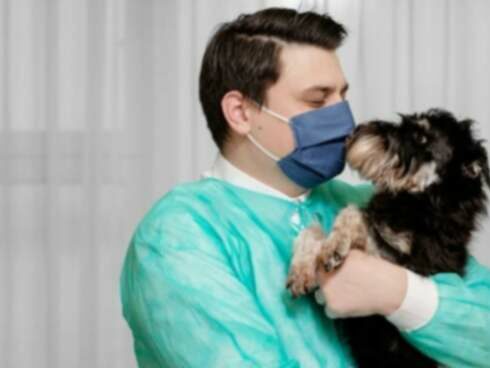 Hjerteanfald hos hunde: Symptomer, årsager og behandlinger