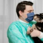 Сердечный приступ у собак: симптомы, причины, & лечение