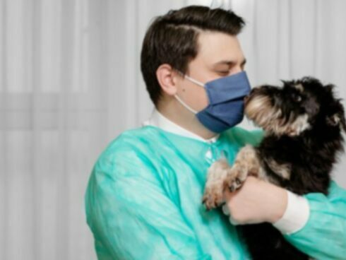 Сердечный приступ у собак: симптомы, причины и лечение