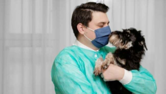 Atak serca u psów: objawy, przyczyny, & leczenie